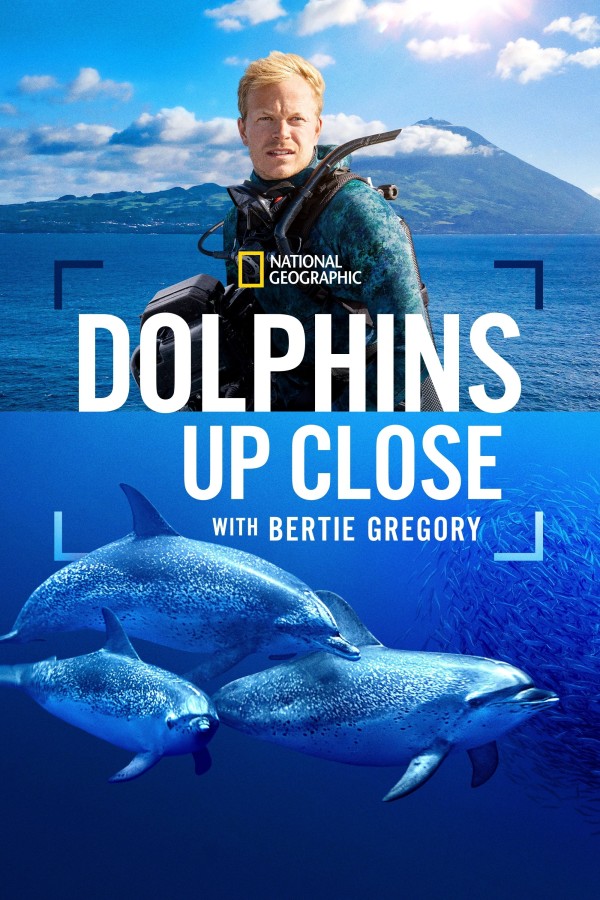 Xem phim Cá Heo Gần Gũi Cùng Bertie Gregory