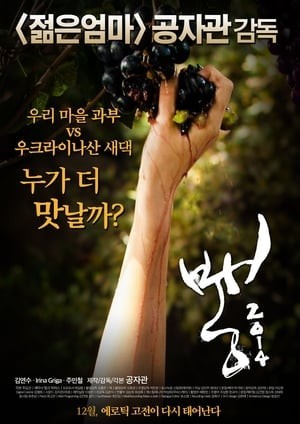 Xem phim Cuộc Thi Đấu Giữa 2 Nàng Dâu